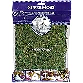 SuperMoss (22420) InstantGreen Moss Mat, Fresh Green, 18 x 16""