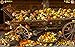Hidden Objects Quest 11: Autumn Harvest