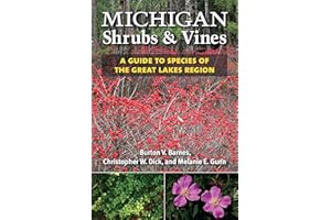 Michigan Shrubs and Vines: A Guide to Species of the Great Lakes Region