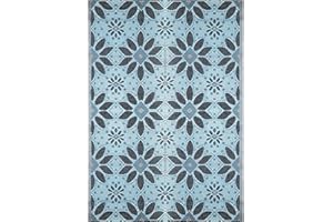 BalajeesUSA Outdoor Rug - 5x7 Sky Blue, Black, Grey, Reversible Recycled Plastic Straw Outdoor Patio Rugs Clearance Waterproof Large RV Camper Mats 287
