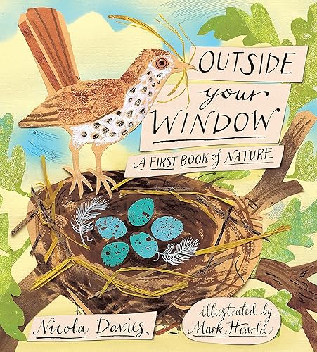 Download Outside Your Window: A First Book of Nature PDF