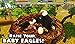 Eagle Simulator