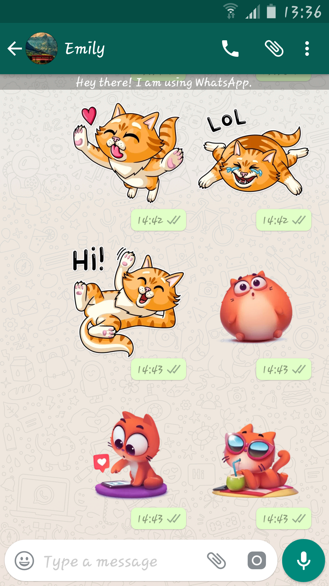 Amazon.com Lovely Cats Stickers For Whatsapp - WASticker 
