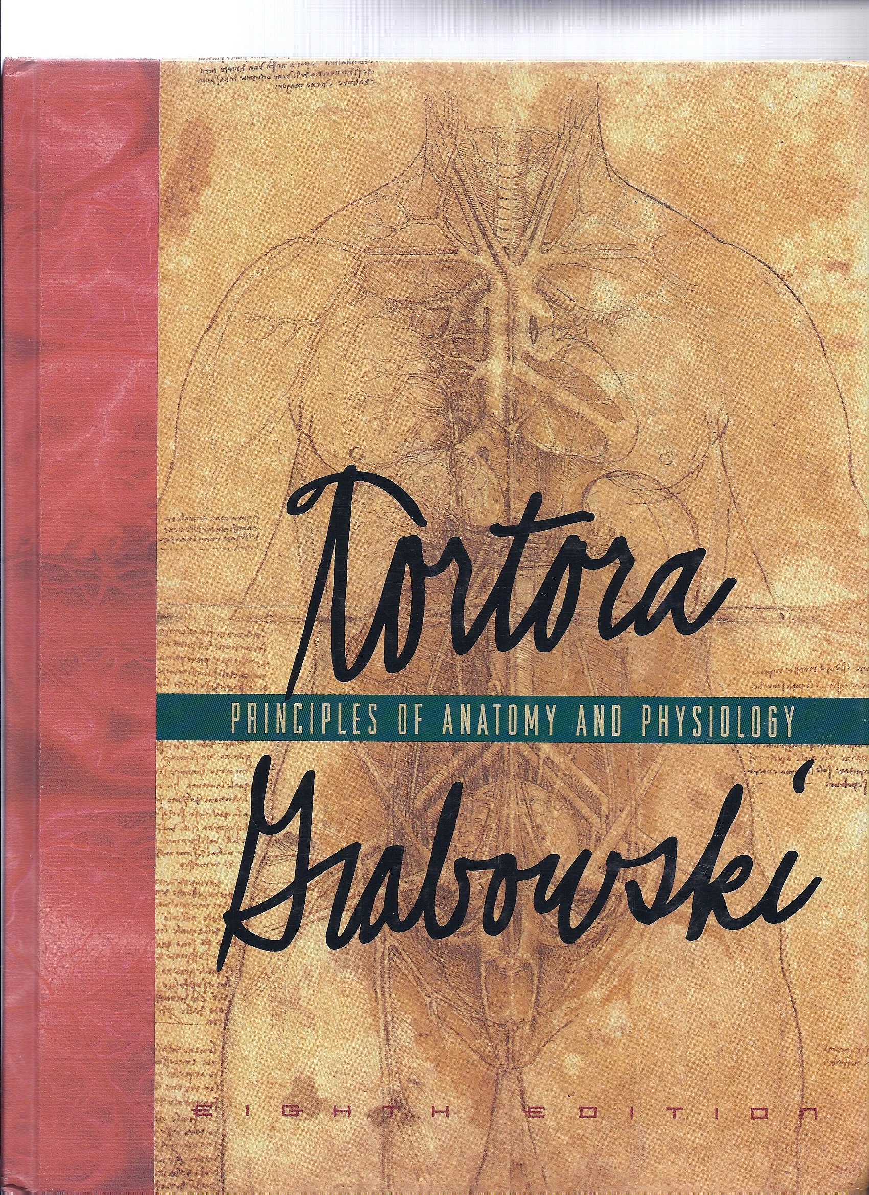 Introduction To Anatomy And Physiology Tortora Montanaascse