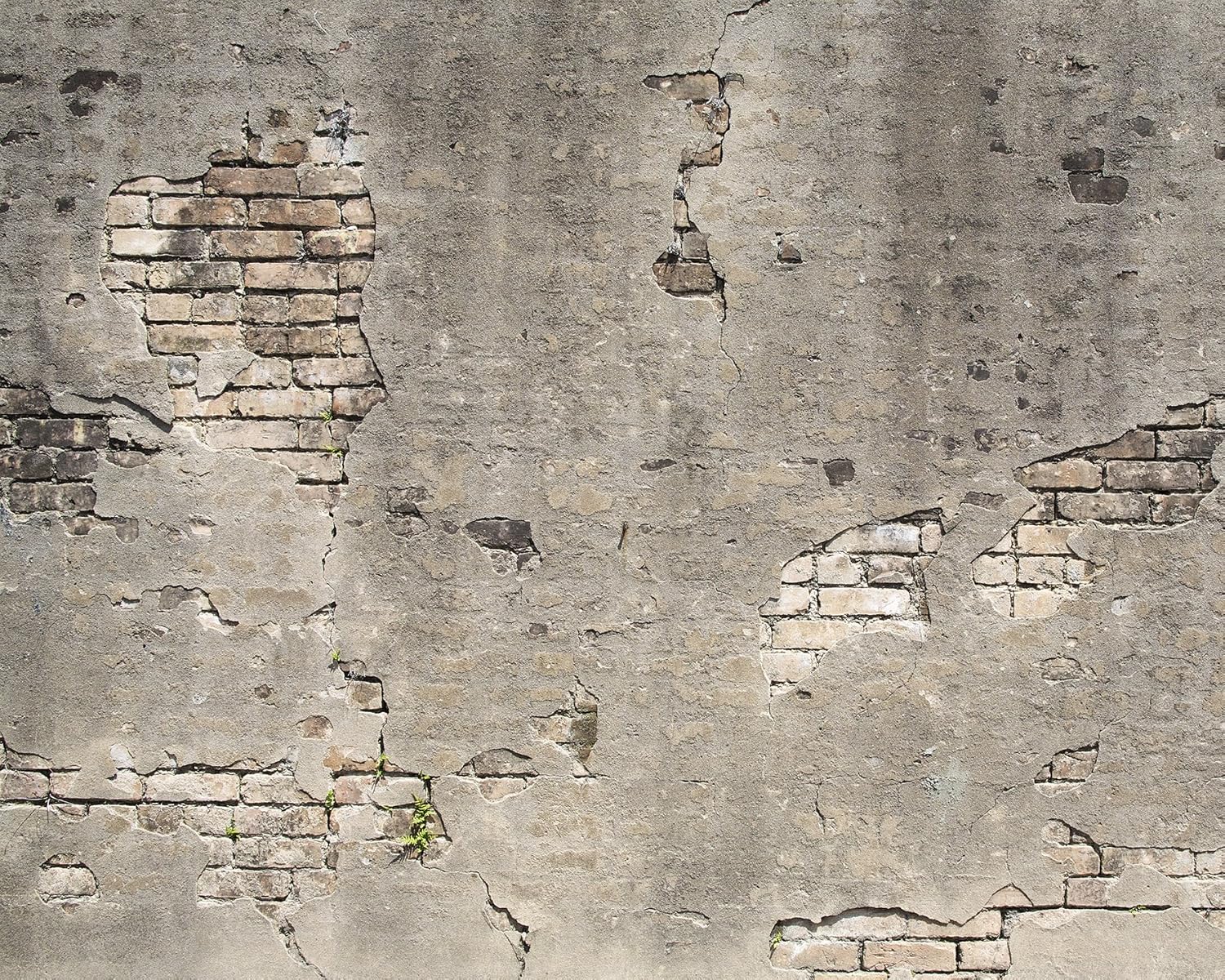 Wall Rogues WR50520 Broken Concrete Wall Paste The Wall Wallpaper