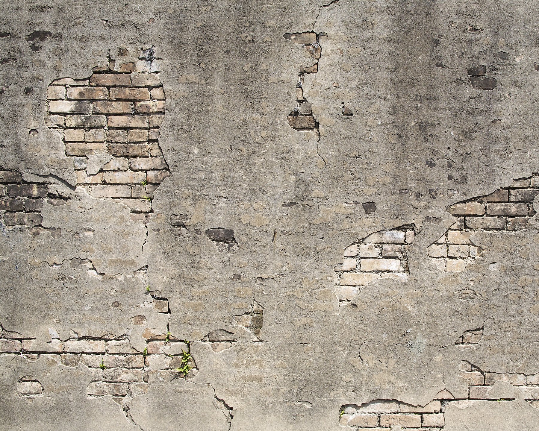 Wall Rogues WR50520 Broken Concrete Wall - Paste The Wall Wallpaper Mural - 300cm x 240cm - Grey