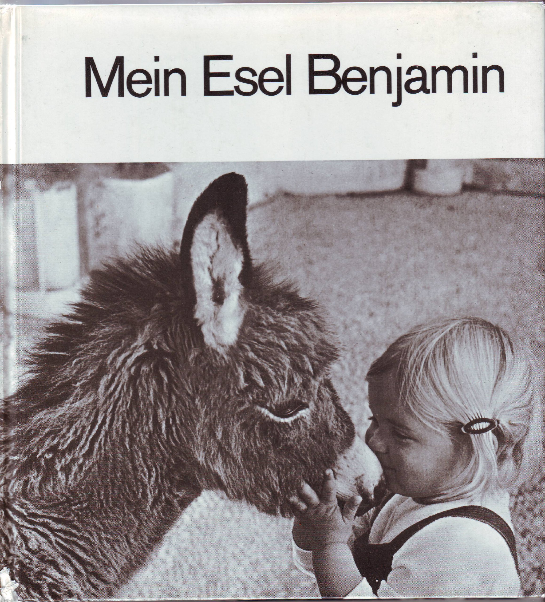 Mein Esel Benjamin Amazon De Lennart Osbeck Hans Limmer Ba Cher