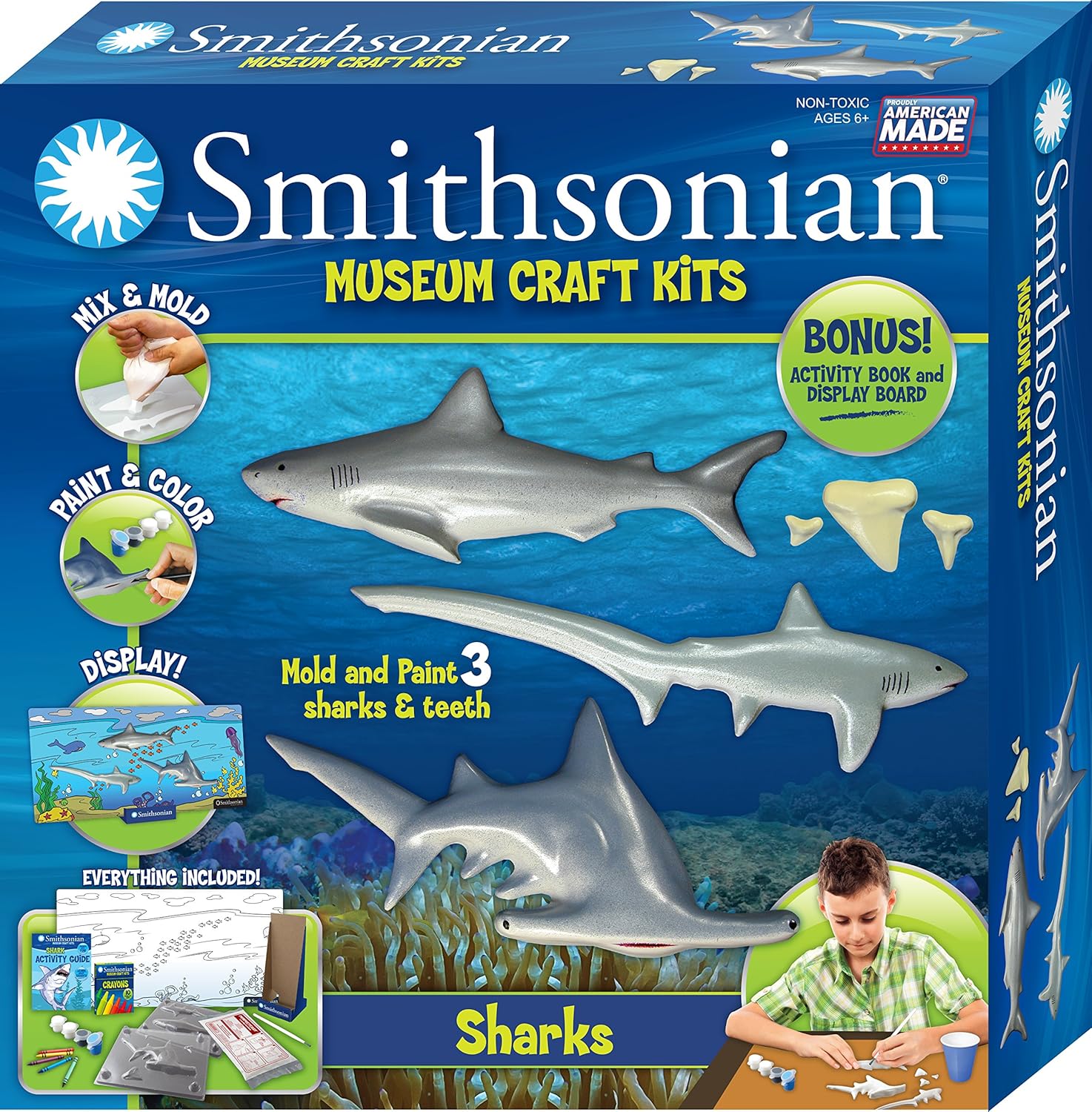 Smithsonian Sharks Perfect Cast Museum Cast, Paint, Display and Learn Craft Kit