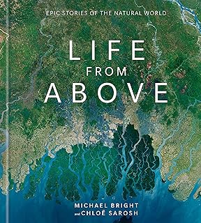 From Above The Story Of Aerial Photography 150 Years Of Breathtaking Imagery Mccabe Eamonn Padley Gemma Amazon Com Books