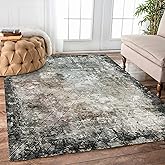 YARNSCAPE 4' x 6' Washable Area Rug - Low Pile Soft Vintage Indoor Rug for Living, Dining or Bedroom - Lightweight Carpet wit