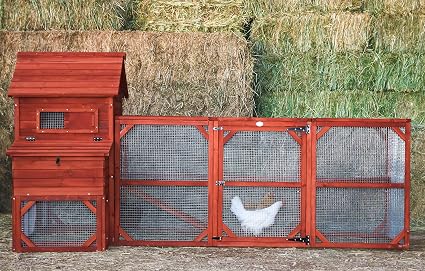 Amazoncom The Bantam Chicken Coop Garden Outdoor
