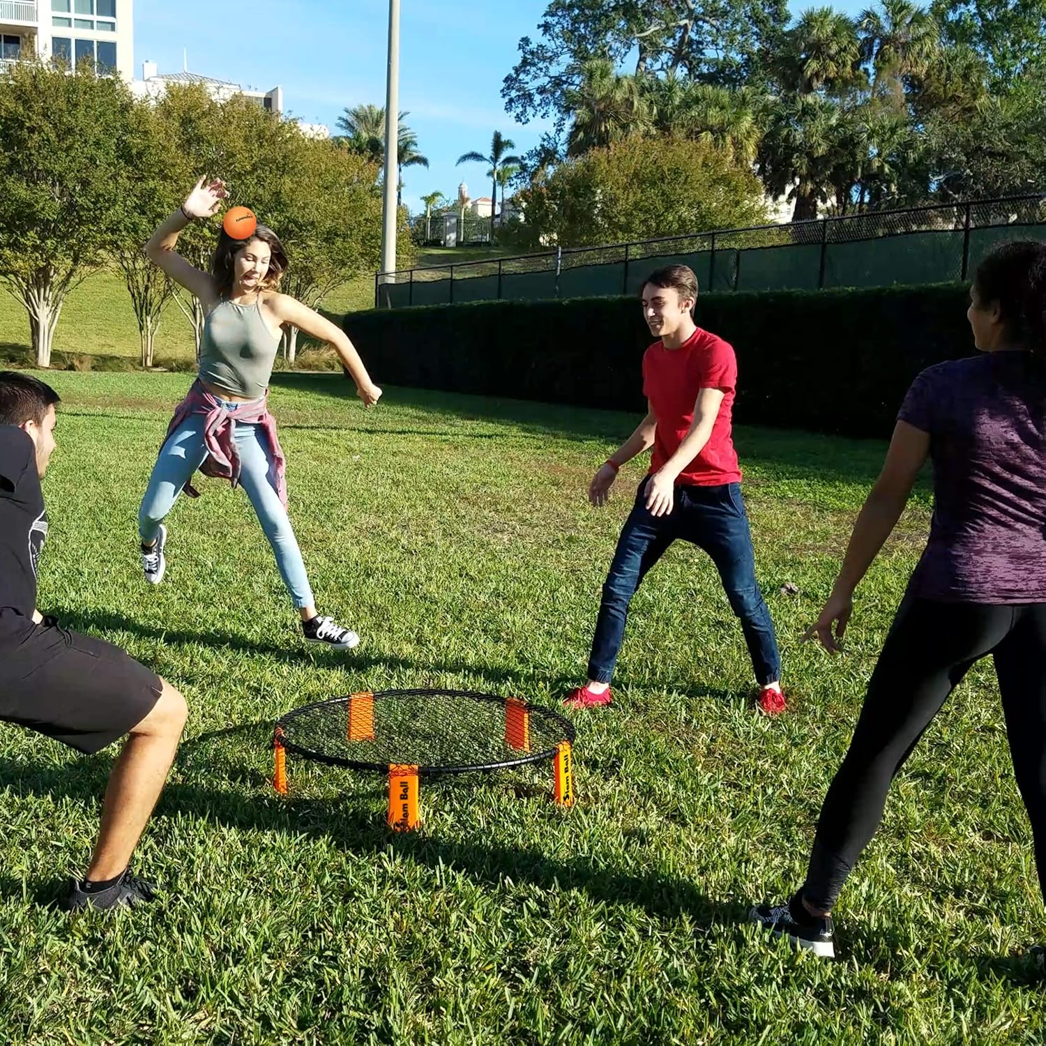 Slam Ball Game - Spike The Ball into The Net at a Park, Beach, Lawn and Backyard – Rally, Set, Smash or Spike Game – Includes Playing Net, 3 Balls, Carrying Bag and Rules : Sports & Outdoors