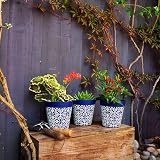 Hum Flowerpots 15cm Set of 3 Blue Maroc Plastic Plant Pots Indoor Outdoor view 5