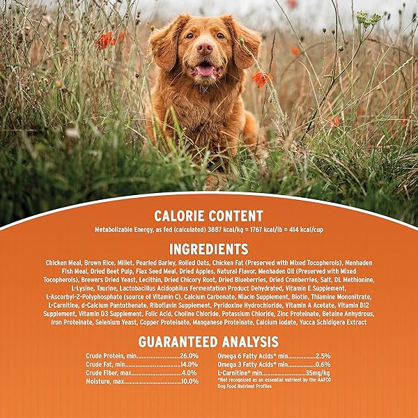 ANNAMAET ORIGINAL PUPPY DRY DOG FOOD, (CHICKEN & BROWN RICE), 5-LB BAG