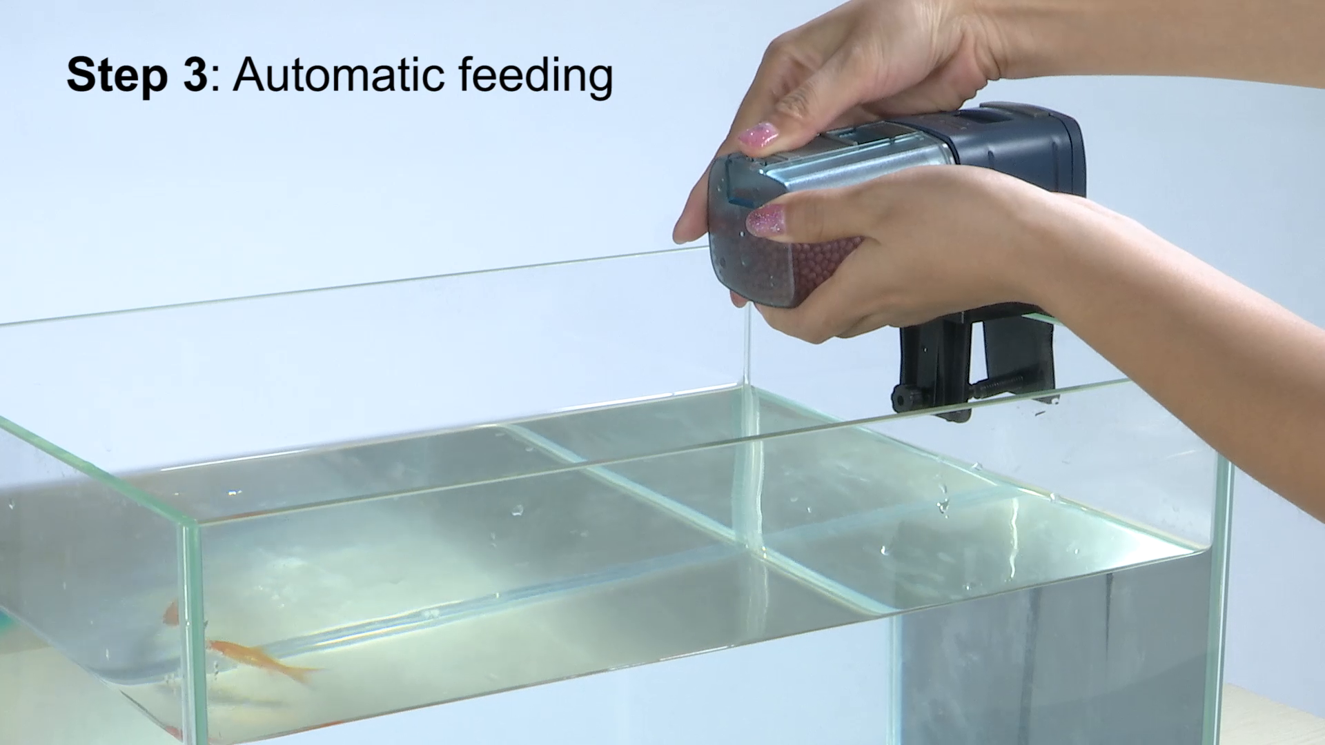 aqua one auto feeder
