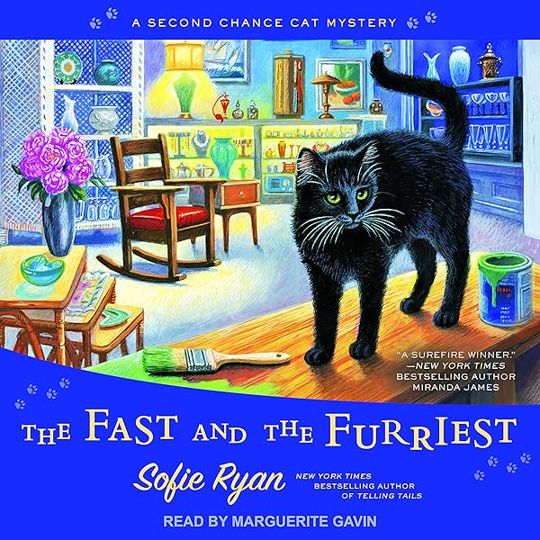 one fast cat amazon