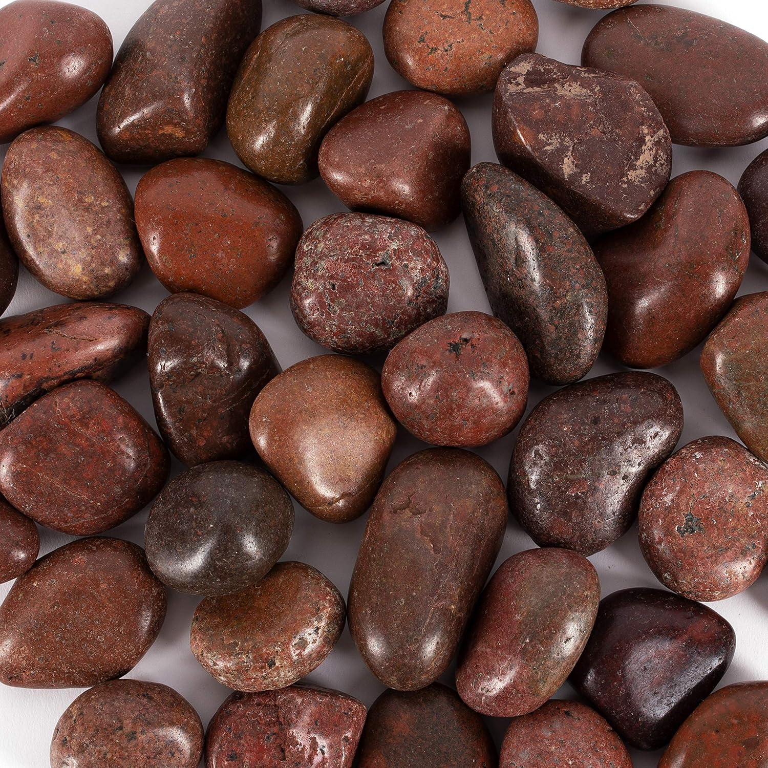 Hardscaping Materials - Galashield River Rocks Pebbles for Plants Natural Decorative Polished Stones for Planters Succulent Rocks Aquarium Gravel (5 lb Bag)
