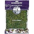 SuperMoss (22420) InstantGreen Moss Mat, Fresh Green, 18 x 16""