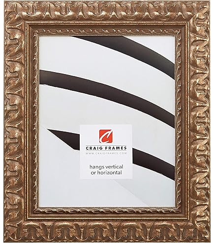 Amazon.com - Craig Frames Ancien Ornate, 24x36 Picture Frame