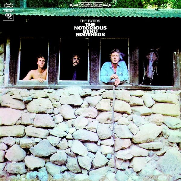 Mr Tambourine Man [Disco de Vinil] | Amazon.com.br