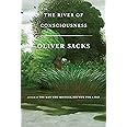 The River of Consciousness