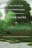 The River of Consciousness