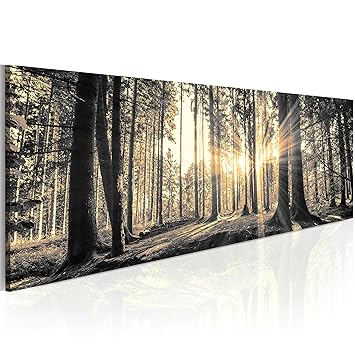 murando - Acrylglasbild Landschaft 135x45 cm - 1 Teile - Bilder Wandbild - modern - Decoration Wald Baum Natur c-B-0077-k-c