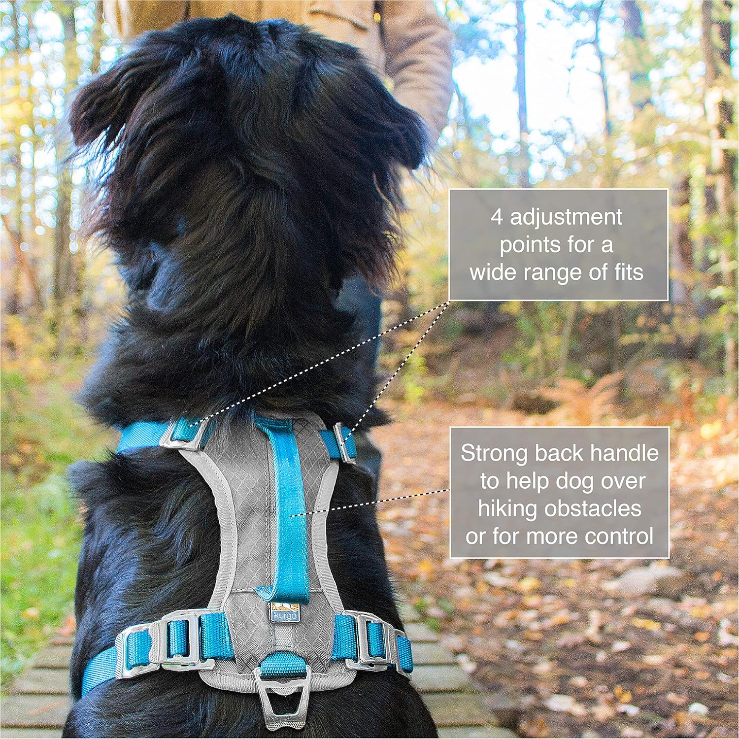 journey harness kurgo