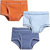 Made in USA Boys Briefs Cotton Underwear Suitable for Sensitive Skins, 3-Pack Underpants SPD Sensory Friendly Clothing, Cool Kid, 2T