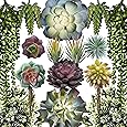 Caqpo Artificial Succulents - 15 Pack - Premium Unpotted Succulent Plants Artificial - Realistic Textured Succulents - Fake Succulent Plants for DIY - Faux Cactus Plant Bulk - Feaux Succulent Plants