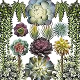 Caqpo Artificial Succulents - 15 Pack - Premium Unpotted Succulent Plants Artificial - Realistic Textured Succulents…