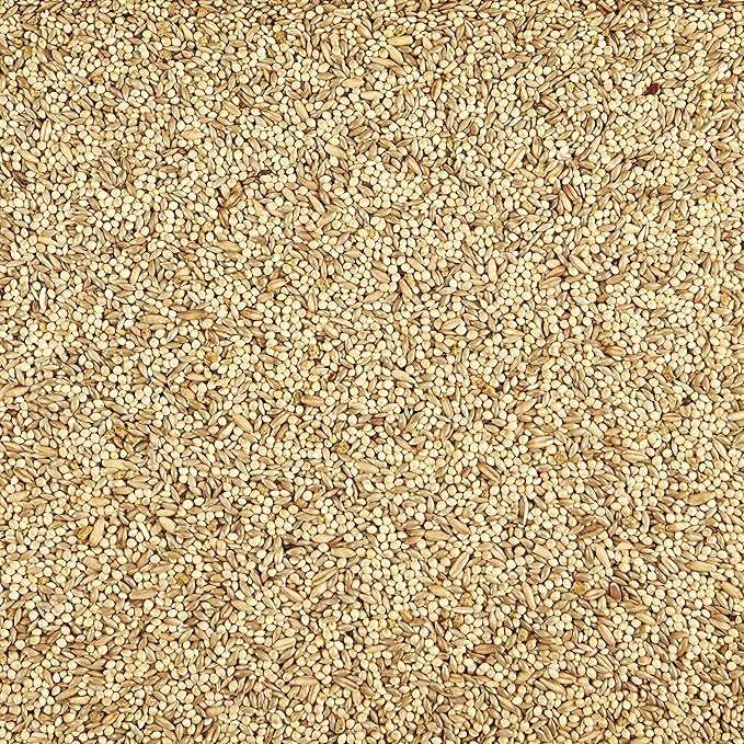 kaytee supreme parrot food