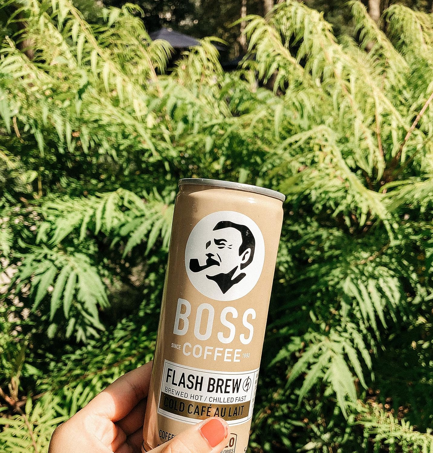 BOSS Coffee by Suntory - Japanese Flash Brew Coffee with Milk, 8oz 12 Pack, Imported from Japan, Au Lait, Espresso Doubleshot, Ready to Drink, Contains Milk, No Gluten: Grocery & Gourmet Food