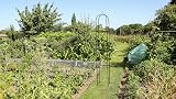 DIVCHI 1.9m Steel Garden Obelisk Climbing Plant Support Black view 5