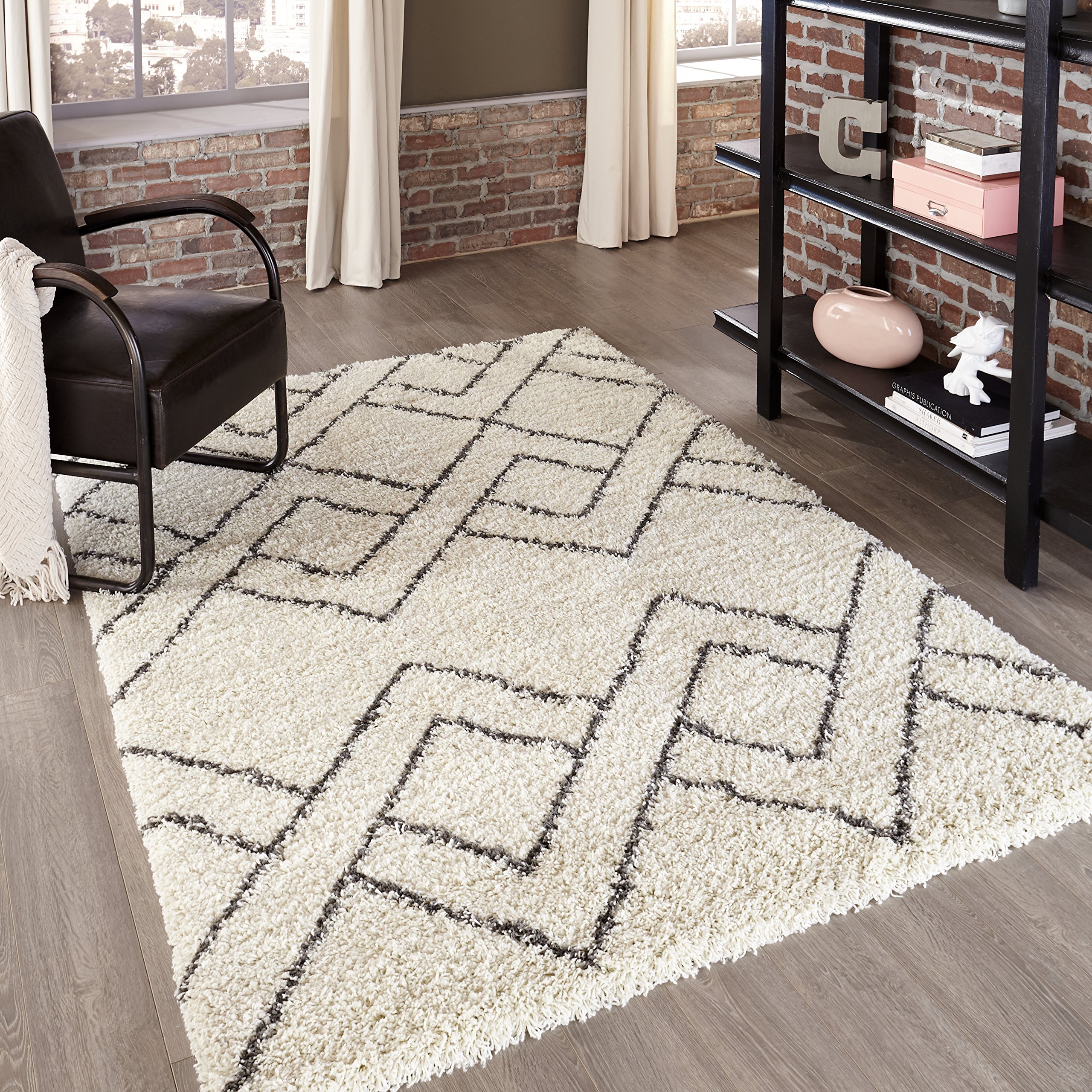 Momeni Rugs Maya Collection, Ultra Thick Pile Shag Area Rug, 2' x 3