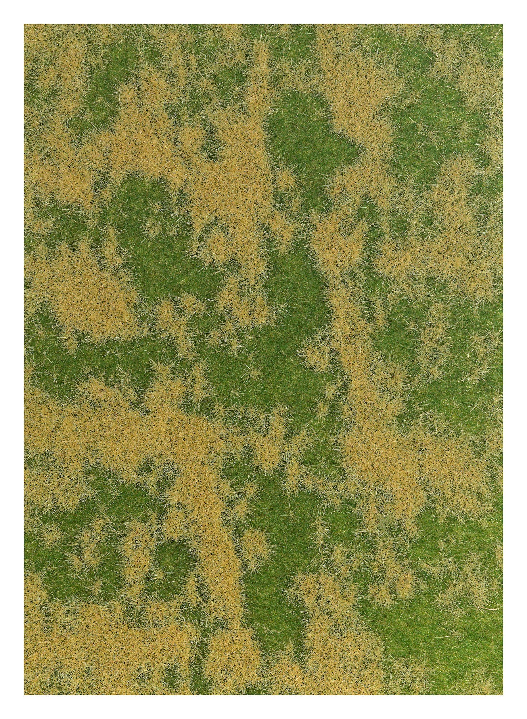 Spring Meadow - Fibre mat 297x210mm