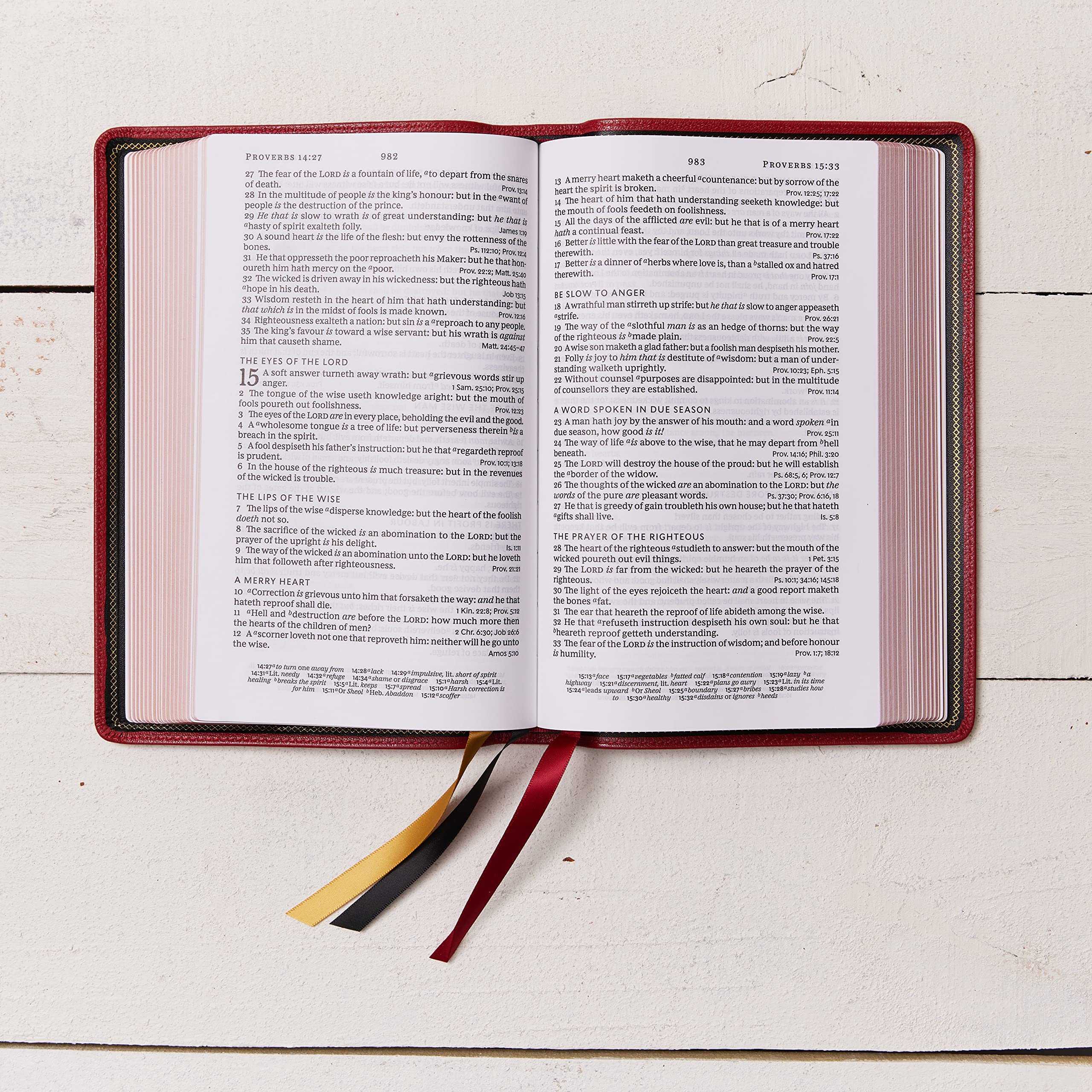 KJV Holy Bible: Large Print Single-Column with 43,000 End-of-Verse Cross References, Red Goatskin Leather, Premier Collection, Personal Size, Red Letter: King James Version KJV Holy Bible: Large Print Single-Column with 43,000 End-of-Verse Cross References, Red Goatskin Leather, Premier Collection, Personal Size, Red Letter: King James Version Leather Bound