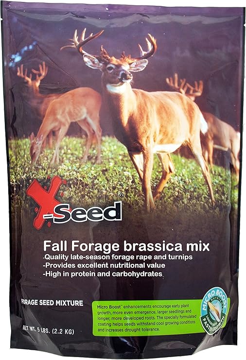 X seed авто