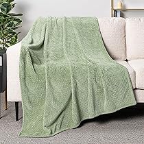 アウトドア寝具 JM BLANKET - LIGHT GREEN x GREEN PAVILIA Soft Fleece Light Green Throw Blanket for Couch
