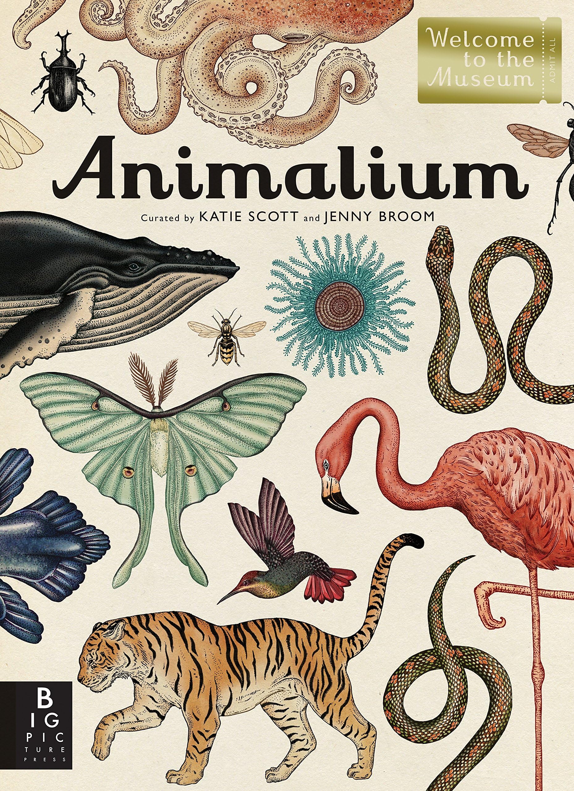 Big Picture Press Animalium: Welcome to the Museum