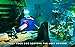 Adventures of Poco Eco - Lost Sounds