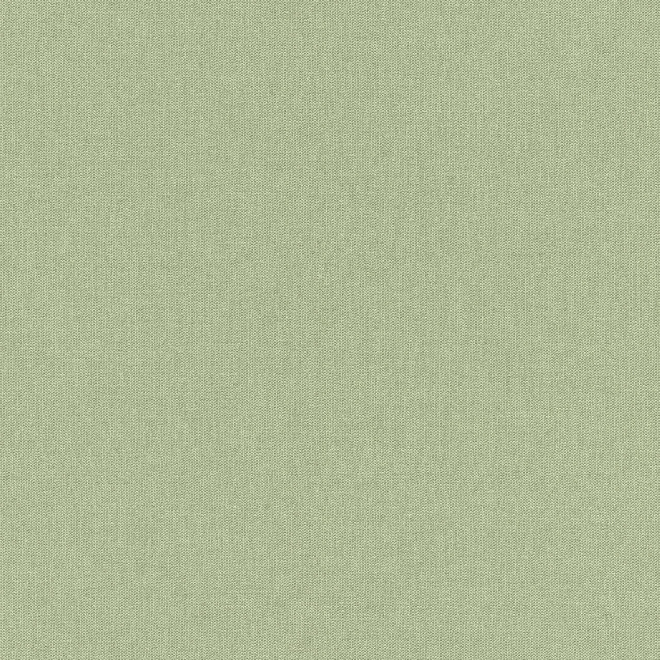 Rasch Tapeten Vliestapete (Universell) Green 10, 05 m x 0, 53 m Poetry 423938