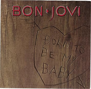 Image result for Bon Jovi - Born To Be My Baby