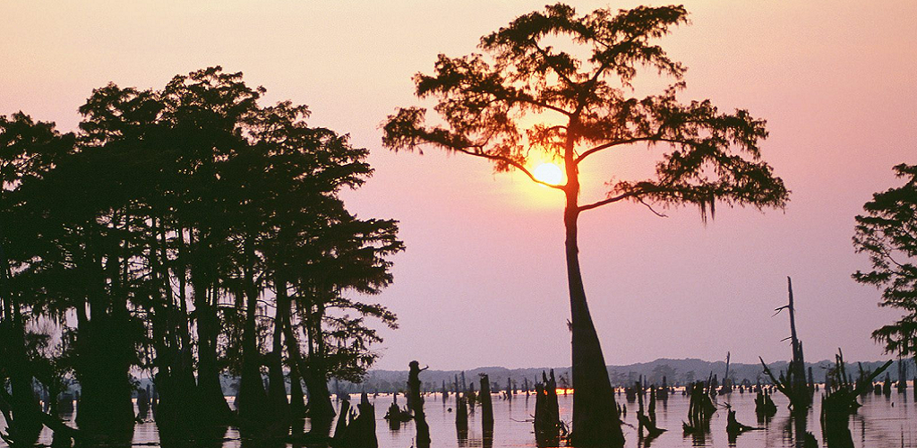 French-Cajun Quiz & Dictionary