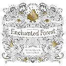 Enchanted Forest: An Inky Quest & Coloring Book