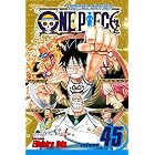 One Piece, Vol. 45: You Have My Sympathies (One Piece Graphic Novel)