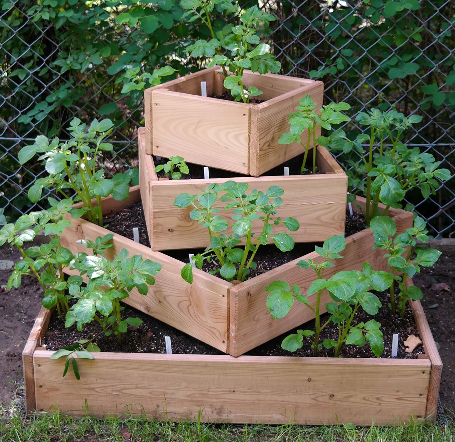 bio-garten - Jardinera Alta piramidal para Patatas, Hierbas y ...