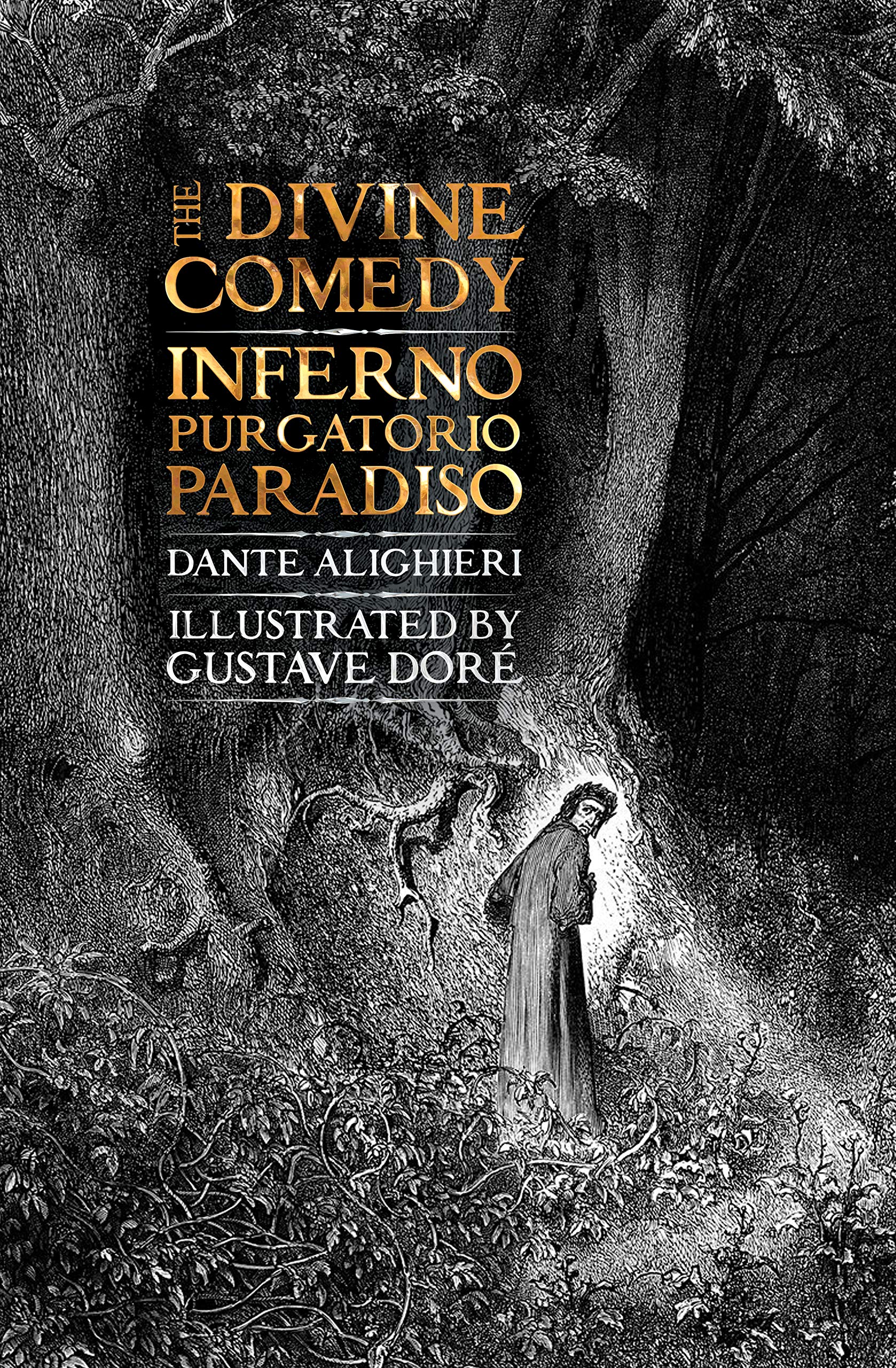 The Divine Comedy Inferno Purgatorio Paradiso Gothic Fantasy