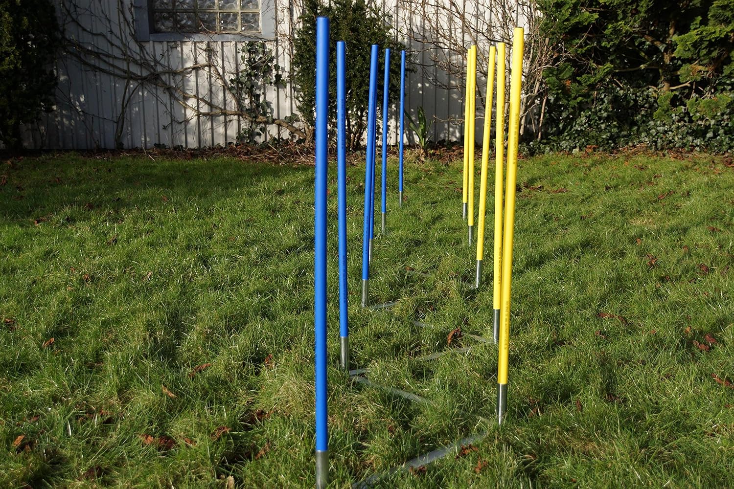 Callieway 2Stk. Agility Hürden, Dog Agi Jump ProIII inkl. je 2 Wurfstangen (FCI konform) auch