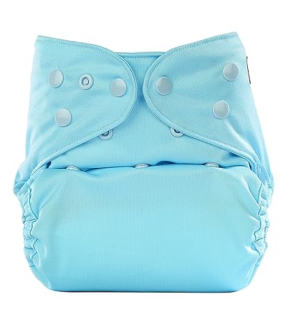 bumberry reusable diaper